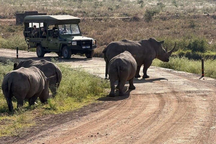 Nairobi National Park Day Safari With Dinner Option