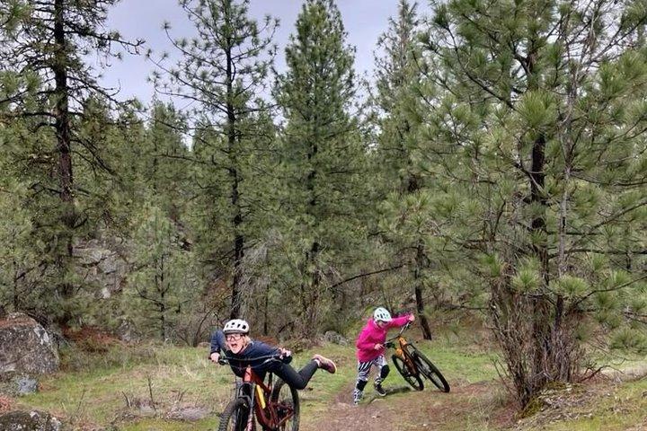 Salalah Nature Ride From Green Coconut Groves to Ocean Breeze