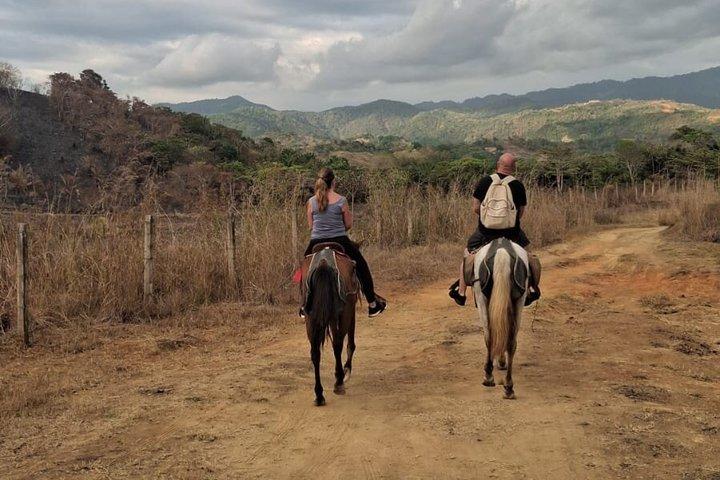 Guided Horseback Riding Tours on Jacó Beach Costa Rica