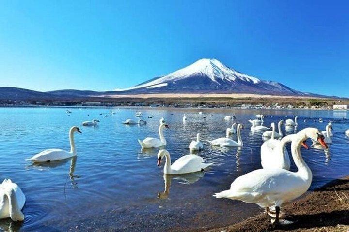 Private Fuji Tour: Lake Yamanakako, Gotemba Outlets & Onsen