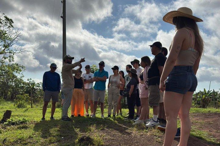 Santa Cruz Craters and Tunnels Tour of Lava and Turtles