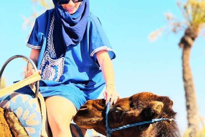 Camel Adventure in the Palmerie Desert Marrakesh