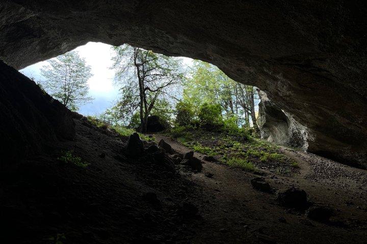 Excursion to Milodon Cave from Puerto Natales