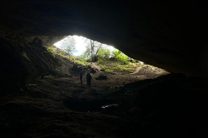 Excursion to Milodon Cave from Puerto Natales