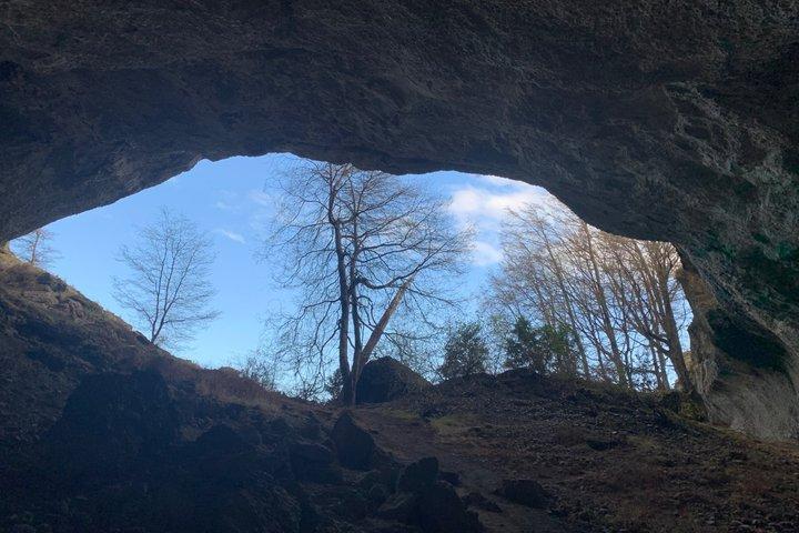 Excursion to Milodon Cave from Puerto Natales