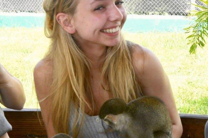 Smile with the Monkeys | Amber Cove and Tayno Bay Cruise port