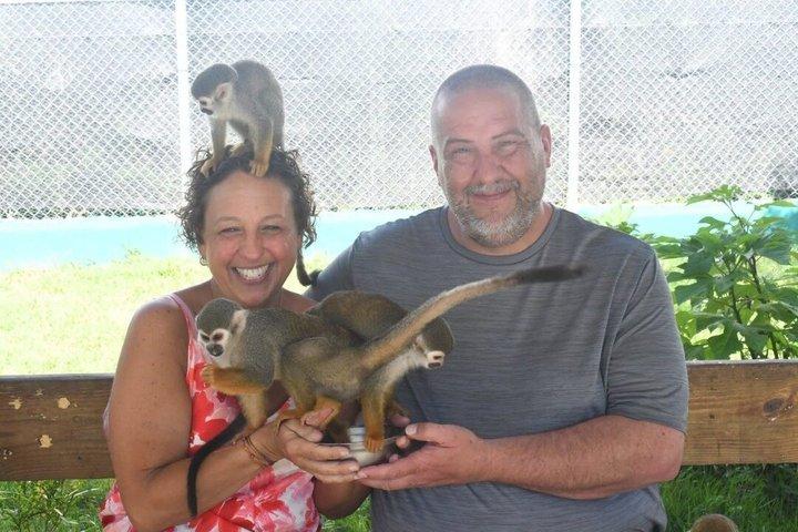 Smile with the Monkeys | Amber Cove and Tayno Bay Cruise port
