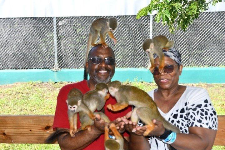 Smile with the Monkeys | Amber Cove and Tayno Bay Cruise port