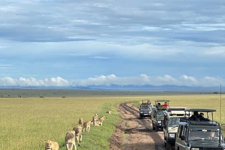 Nairobi National Park Day Trip with Expert Guide
