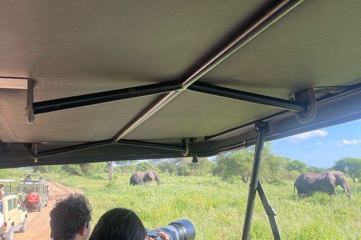 Day Trip to Tarangire National Park Wildlife Safari Adventure