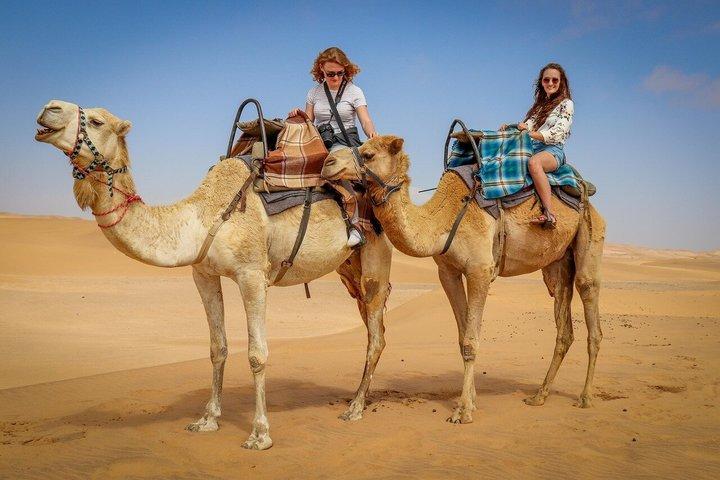 Cairo Pyramids, Sphinx & Museum Day Trip from Sharm El-Sheikh