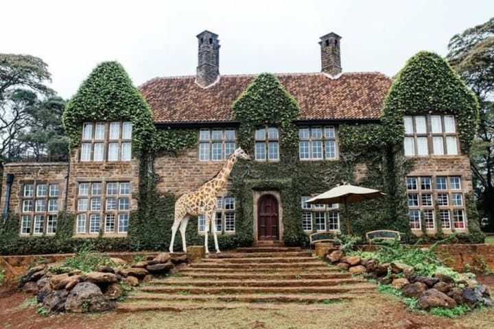 Giraffe Center Karen Blixen and Kobe Beads Day Tour