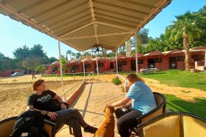 Giza Dessert Horseback Ride – Hidden Pyramids Experience