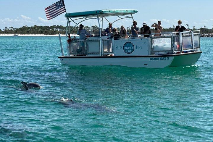 Sunset Snorkel and Dolphin Cruise