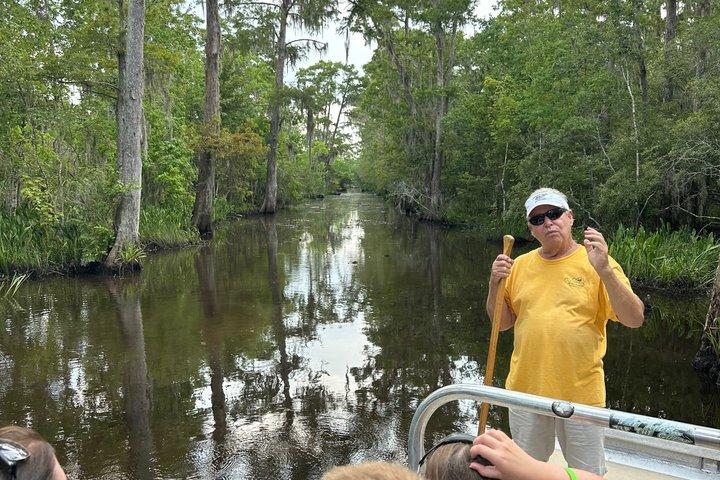 Swamp and Plantation Tour: Whitney, Oak Alley, or Laura