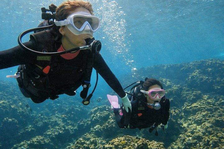 Try Scuba Diving diving at the Blue Cave in Onna Village, Okinawa