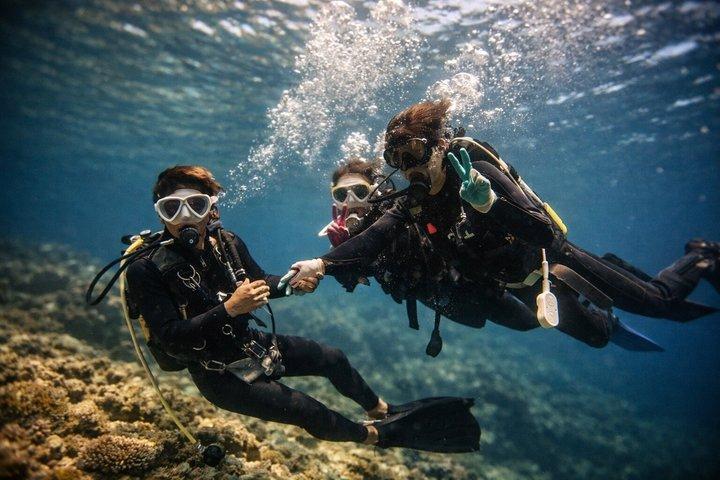 Try Scuba Diving diving at the Blue Cave in Onna Village, Okinawa