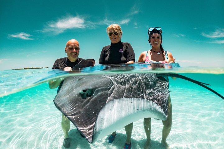 Moorea Lagoon Tour Snorkeling with Sharks and Stingrays