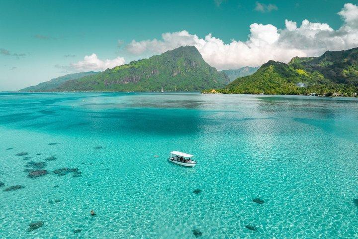 Moorea Lagoon Tour Snorkeling with Sharks and Stingrays