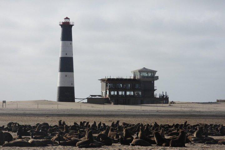 Sandwich Harbour Adventure: Seals and Sandwich harbour dune drive