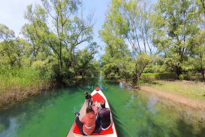 2 hour Guided Amazon Boat Tour