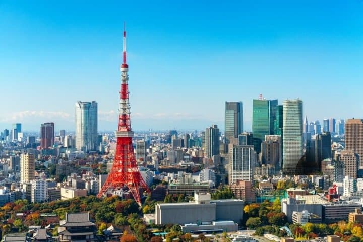 Tokyo Private Car Tour: Customizable Full-Day Highlights
