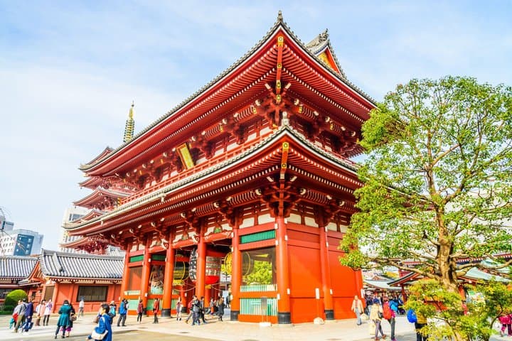 Tokyo Private Car Tour: Customizable Full-Day Highlights