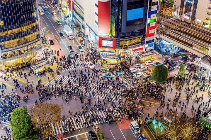 Tokyo Private Car Tour: Customizable Full-Day Highlights