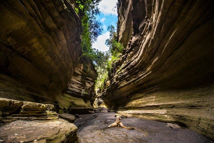 Day Tour to Hell's Gate with Optional Boat Ride on Lake Naivasha