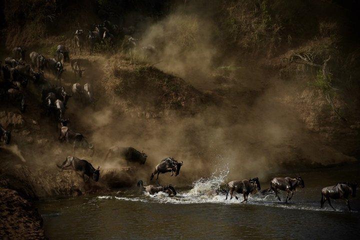 Spectacular Serengeti Migration Safari