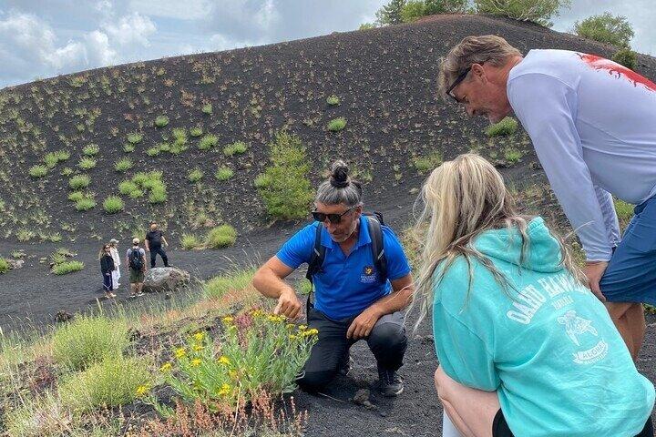 Etna and Alcantara from Catania Volcanoes and Gorges Adventure