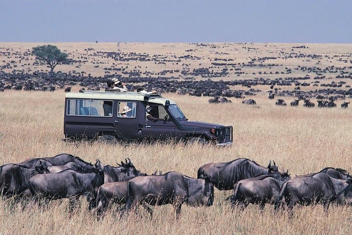6 Days Samburu Lake Naivasha and Masai Mara Safari