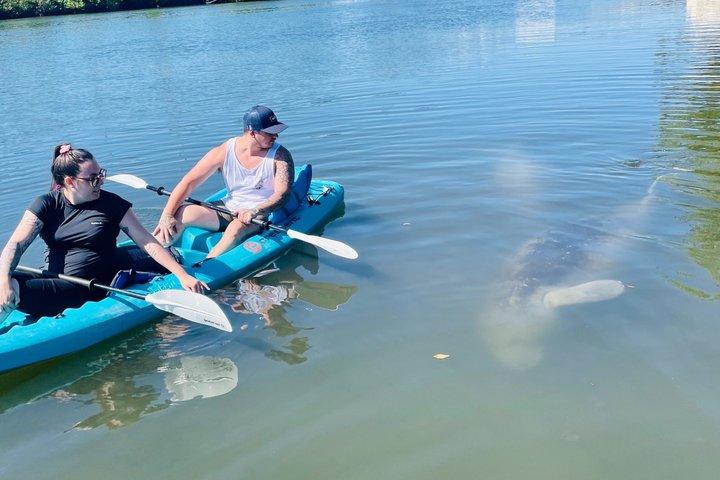 Dolphin and Manatee Adventure Tour of Merritt Island