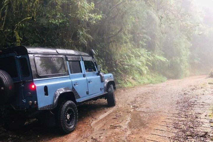 Cameron Highlands Fullday Discovery Package B Shared Tour