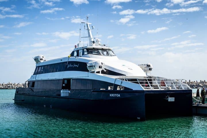 Robben Island Tour Ticket With Host Check-In Assistance