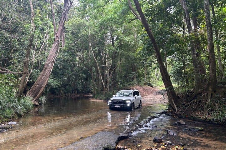 Cairns Rainforest & Waterfalls 4WD Half-Day Tour