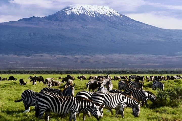 Day Tour To Amboseli National Park From Nairobi
