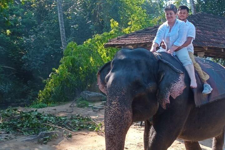Private Kandy Day Tour from Colombo with entrance Tickets