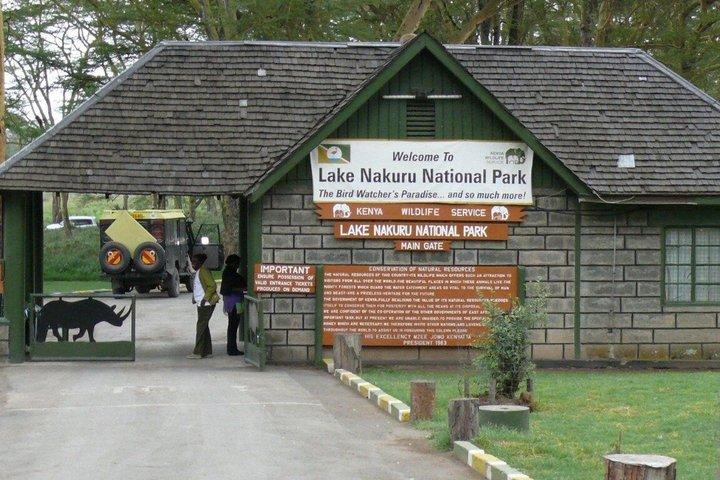 Full-Day Lake Nakuru National Park Guided Tour from Nairobi
