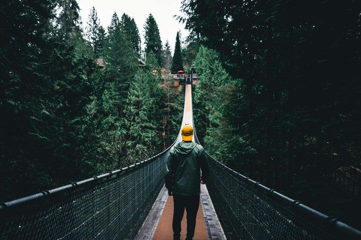 Private Capilano Suspension Bridge and Grouse Mountain Tour