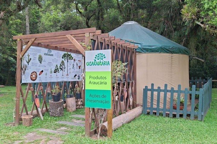 Vacation Package with 3 parks in Campos do Jordão