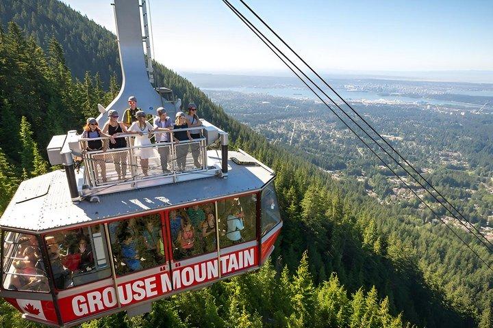 Capilano Suspe Bridge & Grouse Mountain Limited Small Group Tour