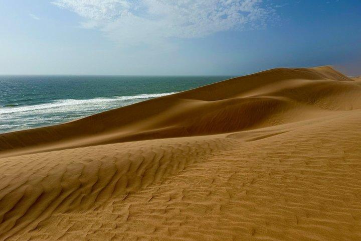Marine Dune Day: Catamaran Cruise and Sandwich Harbor Dune Drive