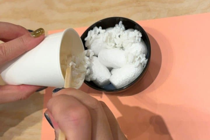 Salmon Roe Bowl Art & Lucky Capsule Toy: Win up to 5,000 JPY!