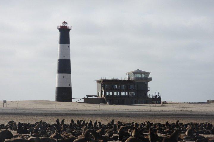 Seal Kayaking at Pelican Point from Swakopmund