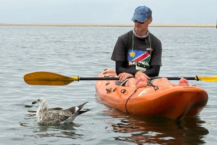 Seal Kayaking at Pelican Point from Swakopmund