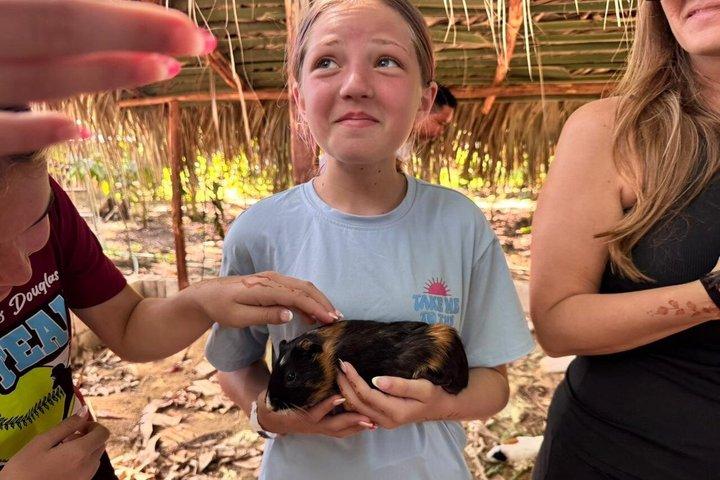 Monkey Tour and 7 Waterfalls Damajagua (Puerto Plata)