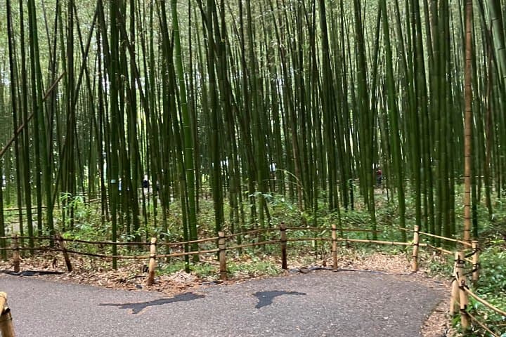 Kyoto Essential Tour with Fushimi Inari and Bamboo Grove