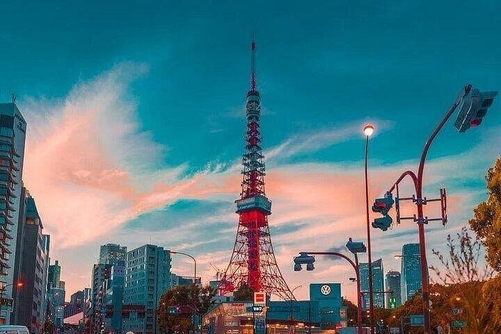 Private & Customizable Tokyo Tour (10 Hours) with English Driver