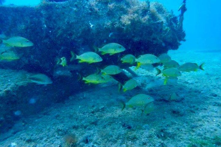 SeaTrek Tour St. Maarten